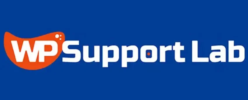 Before and after comparison of industrial product listing pages, highlighting WP Support Lab optimization